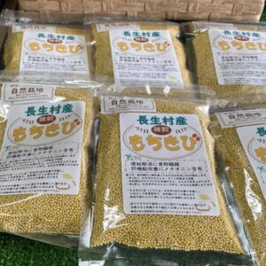 河村のうえん